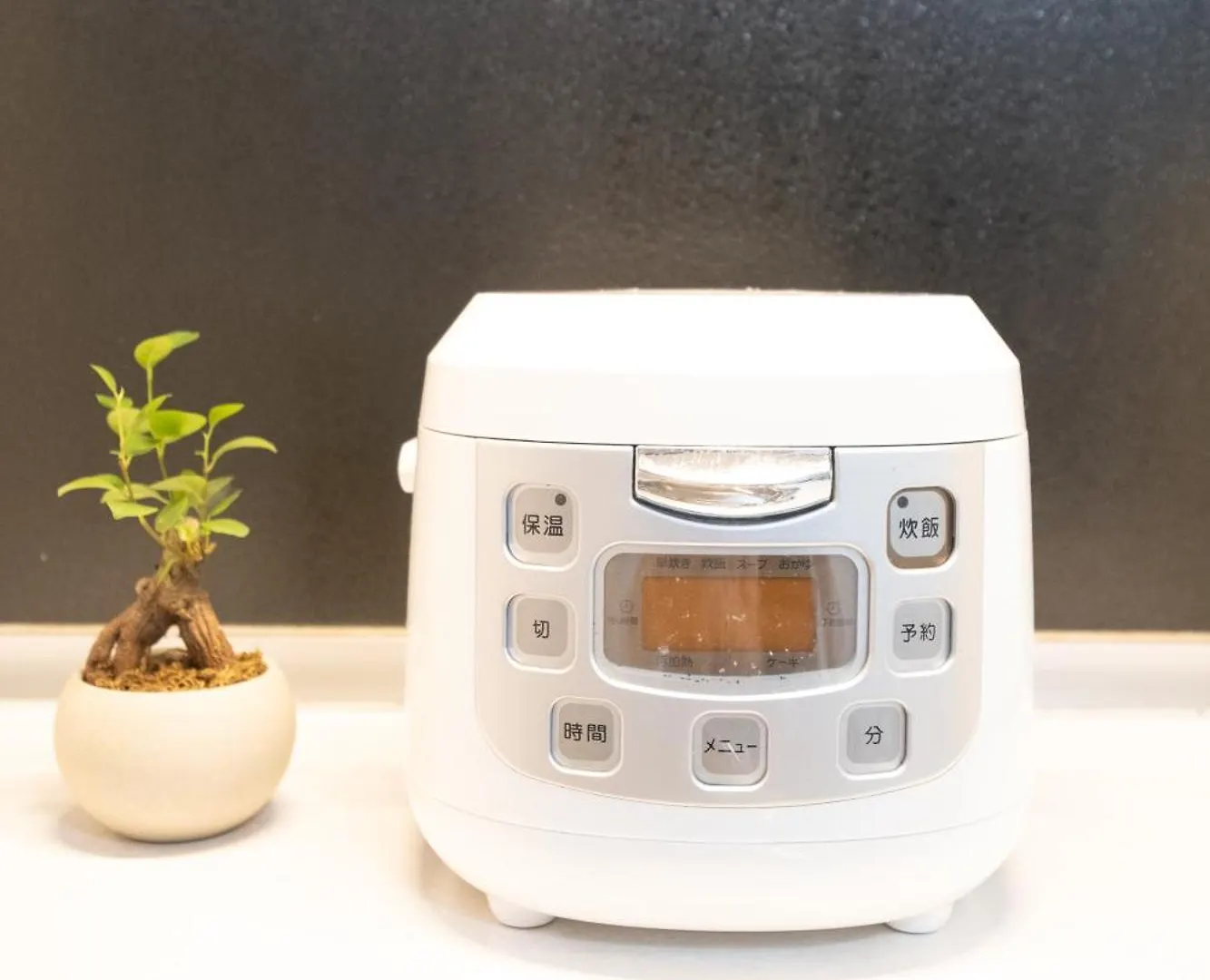 Shinjuku Waseda Tubaki Furuike House Villa Tokyo Holiday home